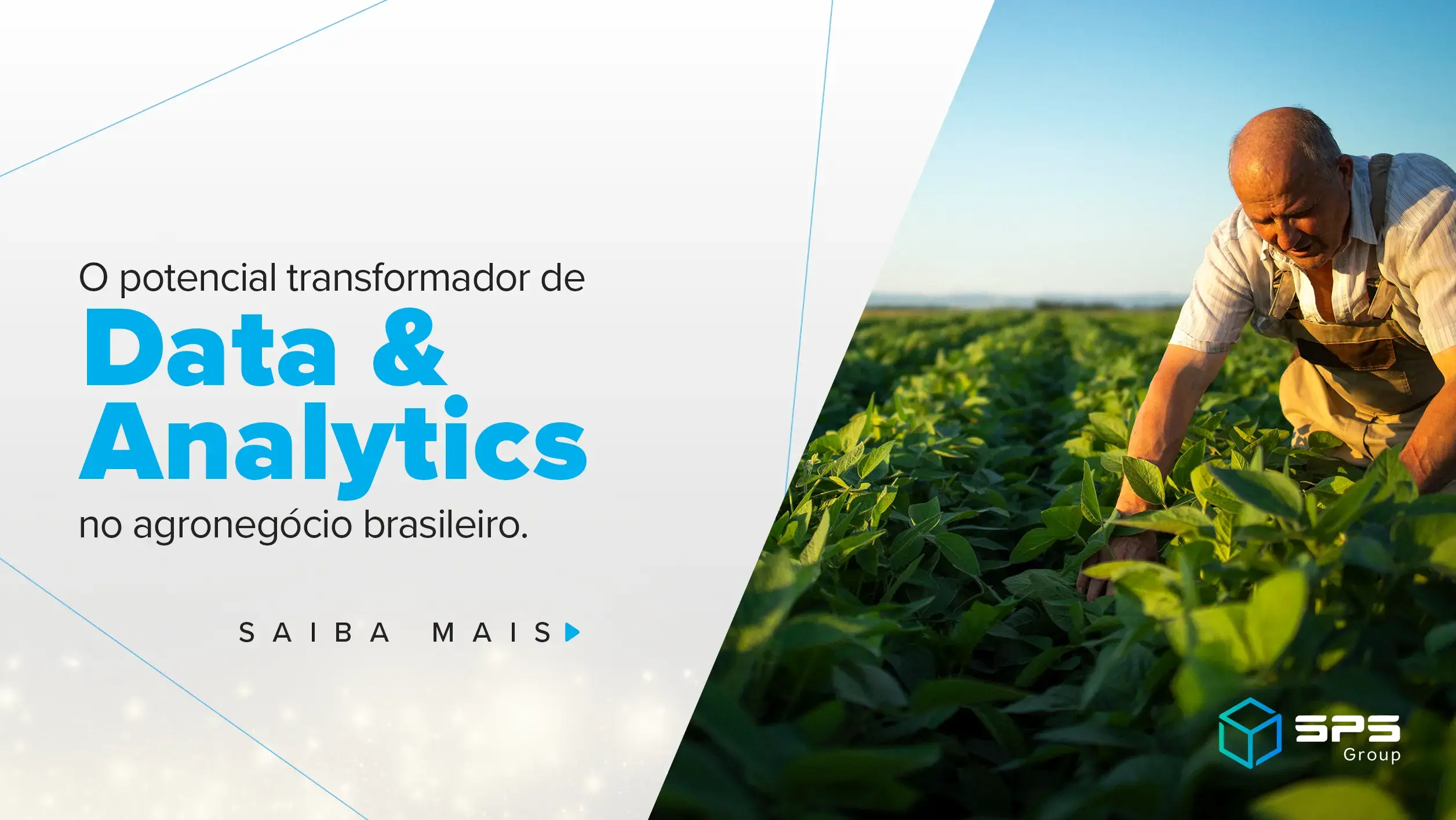 data-analytics-agronegocio-brasileiro